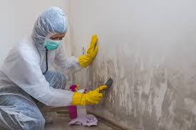 Mold Remediation for Rental Properties in Pine Grove Mills, PA